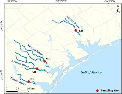 Molecular Level Analysis Reveals Changes in Chemical Composition of Dissolved Organic Matter From South Texas Rivers After High Flow Events